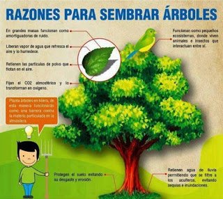 red iberica de bosques comestibles