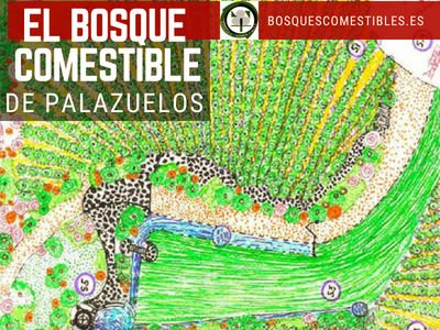 Bosque Comestible de Palazuelos | Bosques Comestibles en Guadalajara