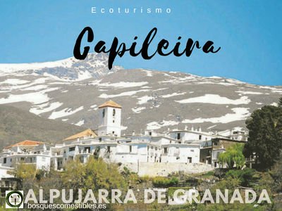 Capileira, Pueblo de La Alpujarra