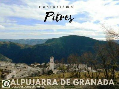 Pitres, Alpujarra de Granada