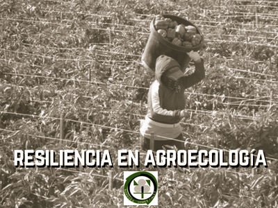 Resiliencia Agroecología
