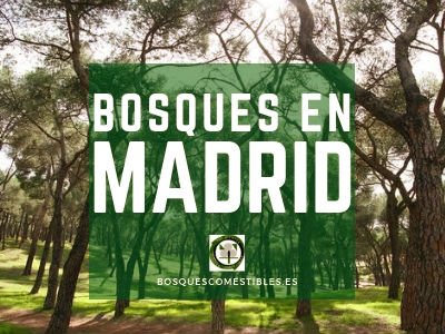 Bosques en Madrid
