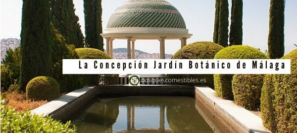 Concepción, Jardín Botánico