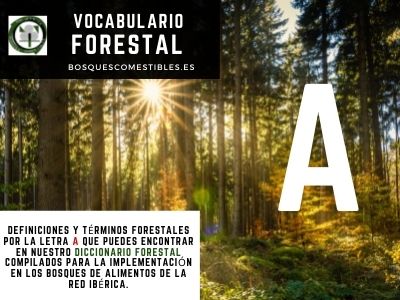 Glosario Forestal por A