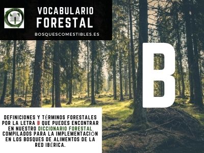 Glosario Forestal por B