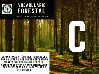 Glosario Forestal por Ch