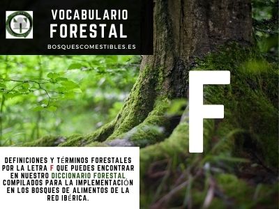 Glosario Forestal por F