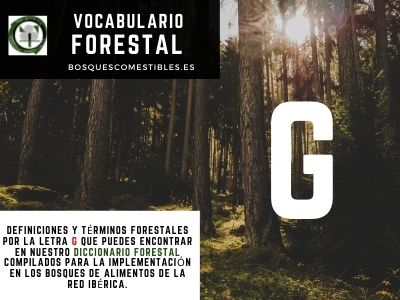 Glosario Forestal por G