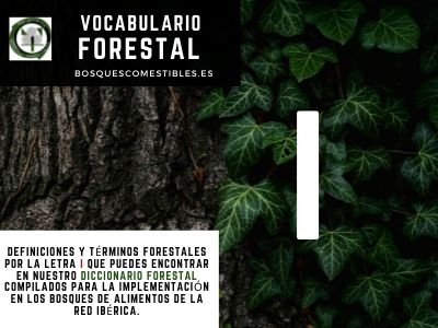Glosario Forestal por I