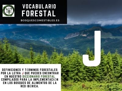 Glosario Forestal por J