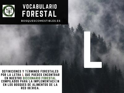 Glosario Forestal por L