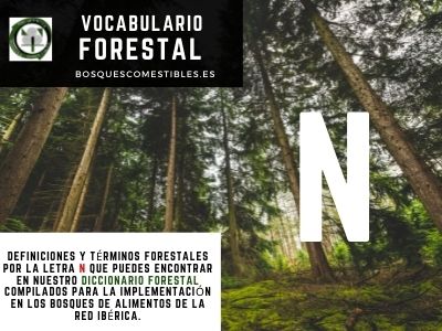 Glosario Forestal por N