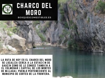 Charco del Moro río Guadiaro