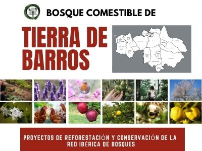 Bosque Comestible Tierra de Barros