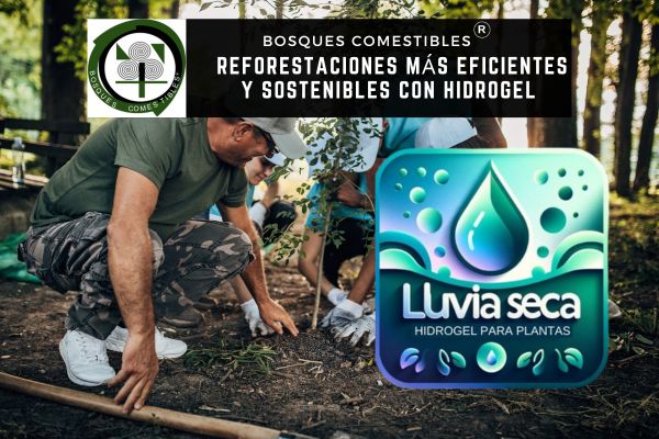 «Reforestaciones más eficientes y sostenibles con hidrogel»