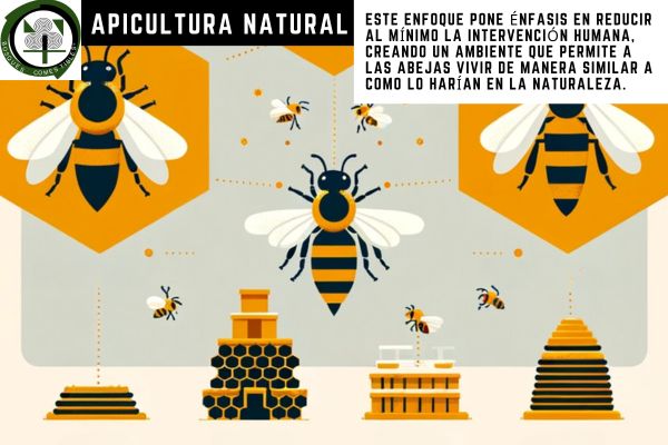 apicultura natural características